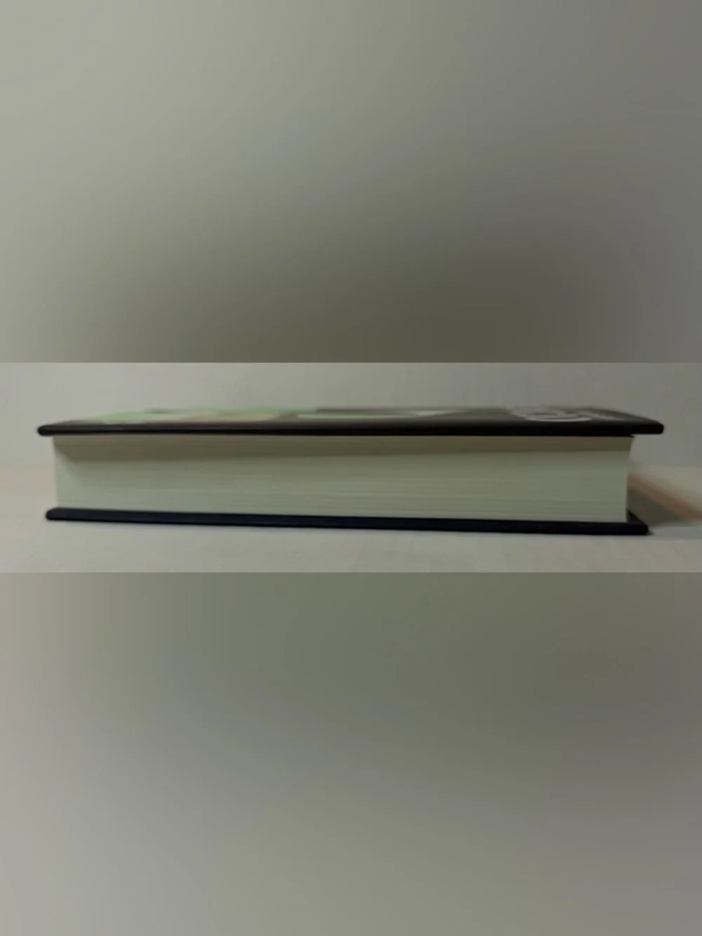 The Testaments Hardcover Book by Margaret Atwood